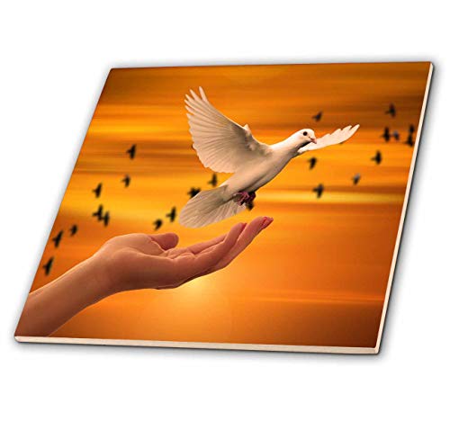 3dRose Ceramic Tile - Beautiful White Dove Flying Out of A Hand at Sunset - 6-inches (ct_288301_2)