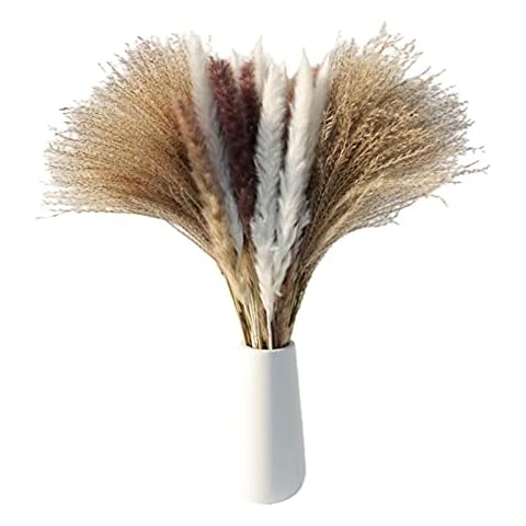 YTGER Pampas Grass Branches Bulk, Natural Dried Pampas Grass Bouquet, Boho Home Decor Bouquet Phragmites Dried Flowers, Bouquet for Wedding Floral Arrangements Home Decorations Cover
