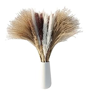 Natuurlijke Gedroogde Bloemen Boeket Pampas Gras Takken Gedroogde Riet Bloem Plant Boho Decoratie Foto Props…