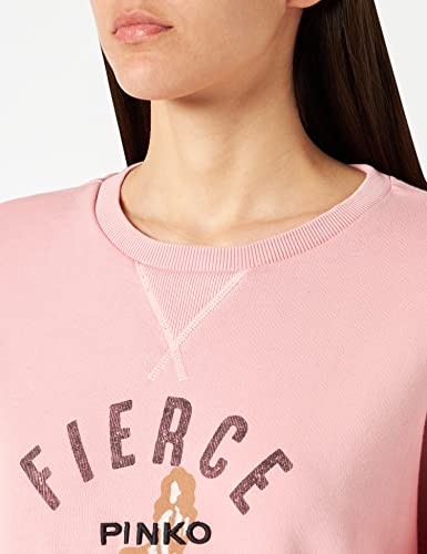 Pinko Canton Abito Felpa di Cotone Vestito