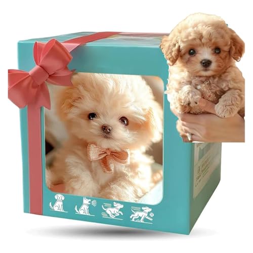 EJV 2025 New Robot Dog