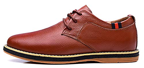 Sanyge Men's Urban Dress Shoes Leather Oxford Shoes Lace Up Classic Workout Flats(Sanyge7008R.Brown48)