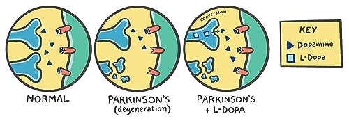 Clinical Pharmacology Made Ridiculously Simple