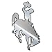 FANMATS ProMark University of Wyoming Metal Emblem, Chrome, 62935, One Size