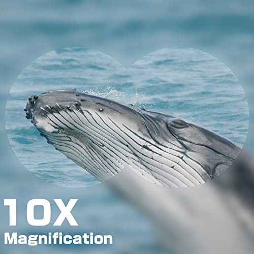 Prismáticos Professional 10x42, Binoculares de Largo Alcance Y Potentes para Adultos Prismas BaK4 y Lentes FMC y Correa, Ideales para Observación de Aves Caza Senderismo conciertos Eventos Deportivos