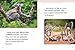 Lemurs (Animals)