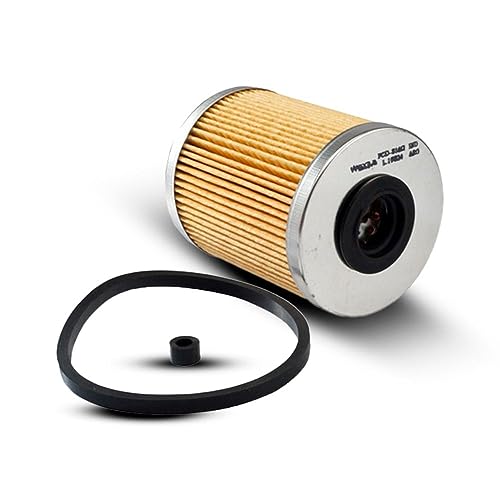 Filtro de Combustível Master 2010 a 2020