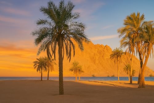 10 Graines de Phoenix canariensis – Palmier des Canaries - Palmier ornemental majestueux - Arbre Jardin - 377