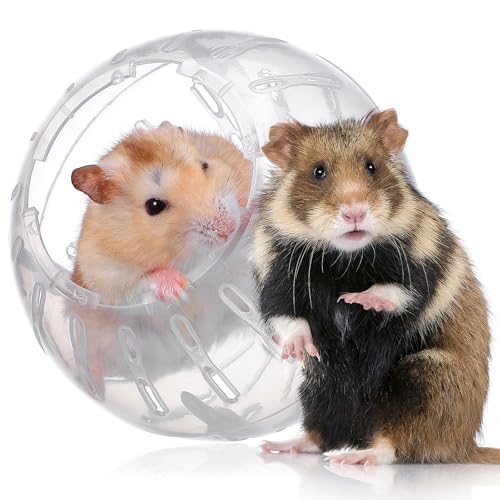 FOMIYES Hamster Exercise Ball, 3.93 Inch Transparent Running Ball for Dwarf Hamsters, Guinea Pigs, and Small Pets, Safe Plastic Design, Portable and Easy to Clean