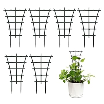 building a trellis for climbing plants