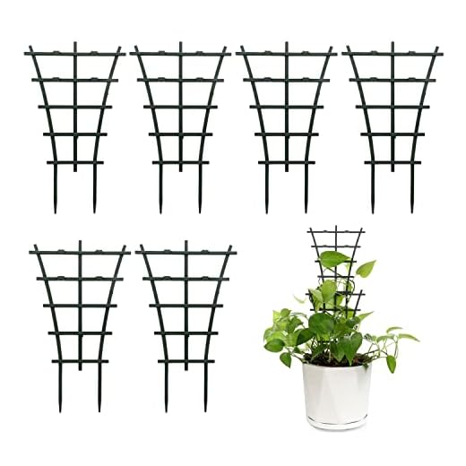 25 Beautiful Raised Flower Bed Ideas for Your Front House 6 Feitore Plant Trellis Indoor, 6Pcs Stackable Plant Trellis for Climbing Plants Indoor, Small Plant Climbing Trellis for Potted Plants Plastic Climbing Plant Support Trellis for Houseplant Hoya Pothos