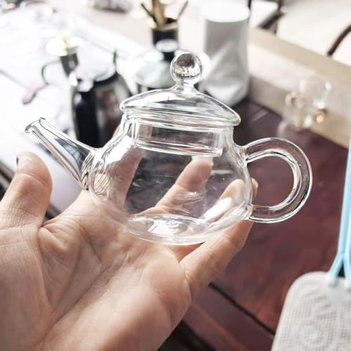 Mini Teekanne Glas,250ML/8.5OZ Glas Borosilikat Teebereiter mit Siebeinsatz für Schwarzen Tee Grüner Tee Fruchttee Duftender Tee Teebeutel losem Teefilter