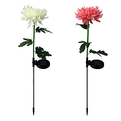 Fleurs de chrysanthème artificielles solaires pour illuminer vos soirées de jardin