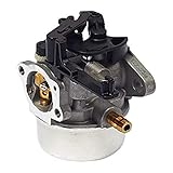 Briggs and Stratton 593599 Carburetor