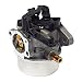 Briggs and Stratton 593599 Carburetor Lawn Mover Accessories