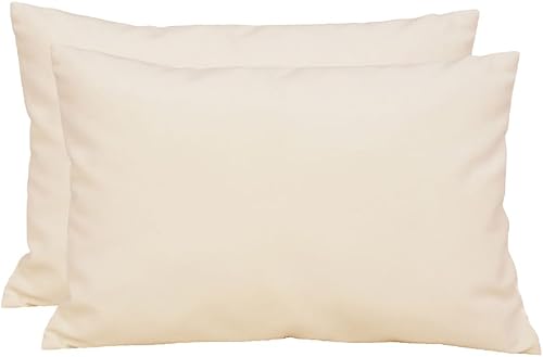 TangDepot Paquete de 2 fundas de almohada de terciopelo liso, fundas de almohada suaves y superlujosas, fundas de almohada lumbares, fundas de