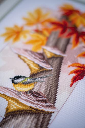 Kit point de croix compté broderie complet canevas oiseaux multicolore - 3