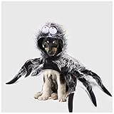 La araña divertida de Halloween se ve muy única y linda. Ganará la apreciación de muchas personas y aumentará la atmósfera festiva de Halloween. La araña espeluznante negra única convierte a un niño peludo en una enorme araña de terciopelo negro con ocho patas largas. Se mueve al caminar, trayendo efectos locales.