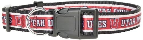 ybgt@[XgwPETJ[Vo[W^eX̎ցATCYL&L̂߂̍ō̃X|[c`[J[.VCj[&JtȌƔL̎ NCAAɂăCZX^