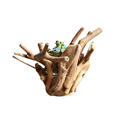SUNESA Blumentöpfe Hölzerne Blumentopf Einzigartige Wurzel-förmige Pflanzentöpfe for Innen- und Outdoor-Sukkulenten-Blumentöpfe (Pflanzen Nicht inbegriffen) Pflanztöpfe