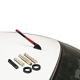 HAOBO Car Antenna, Antenna for Truck, RV Accessories 4.7 Inch Car Audio & Video Antennas, Universal Car Accessories Carbon Fiber Antenna Fit for Ford F150 and Other Brand Models