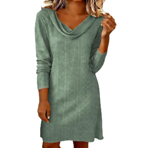 Womens Cowl Neck Long Sleeve Mini Dress Eyelet Fall Spring