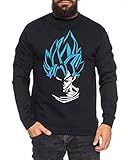 SS Herren Sweatshirt Goku Dragon Master Son Ball Vegeta Turtle Roshi Db, Farbe:Schwarz, Größe:S