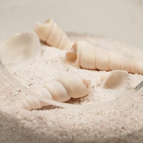 Image of Silica Gravel, Multi-Purpose Mini White Silica Sand for Fire Pits, Aquariums and Landscaping, 5LB