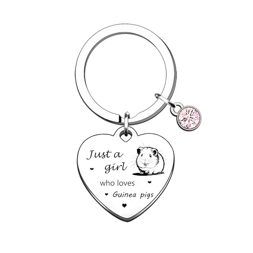 YpbbyKit Porte-clés cochon d'Inde, cadeau pour les amateurs de cochon d'Inde, cadeau pour femme, cadeau d'anniversaire et de Noël, Argenté., taille unique