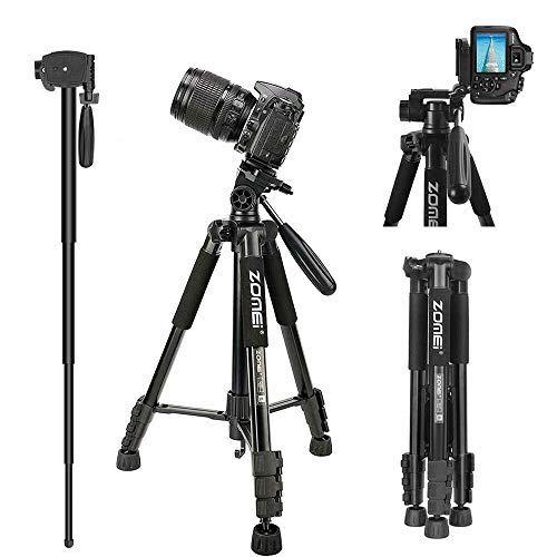 Best Monopod For Nikons