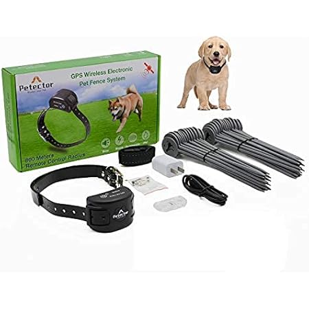 wireless dog boundary collar