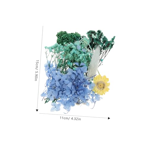 Flores prensadas naturales para manualidades 1 pack miniatura 7
