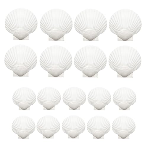 GNURBDILFO 18 conchas naturales de vieiras blancas a granel para manualidades, pintura, hornear, conchas para hornear, manualidades, pintura