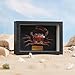 Liyoakyo Real Crab Taxidermy – Framed Preserved Specimen for Coastal Wall Decor, Beach Home Art, or Educational Display (Purple Samurai Crab, 6.6 × 4.6 × 1.8 in)