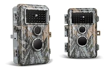 night vision in animals