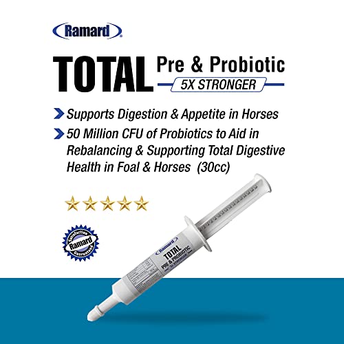 Ramard Total Prebiotic & Probiotic Equine Formula -Natural Ingredients For Foals & Adult Horses, Healthy Gut Flora & Optimal Nutrient Absorption -The Ultimate Digestive Supplement - Syringe 30Cc (1Pk) #TOP3