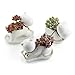 T4U Animal Paradise Ceramic Succulent Plant Pot/Cactus Flower Pots Container Porcelain Holder Planter Decoration with Golden Bell and Tray Collection 1# - Pack of 3