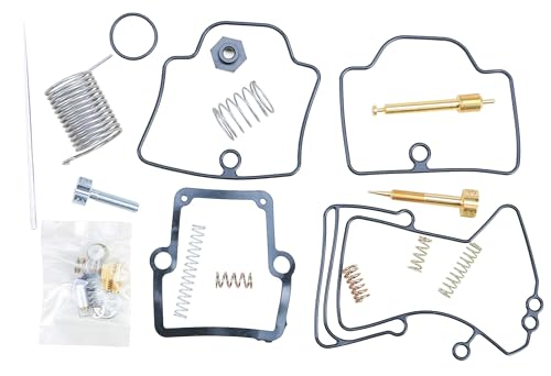 Carburetor Repair Kit Compatible with Ski-Doo 617 Formula Mach XTC 1991 Snowmobile Part# 141-8994