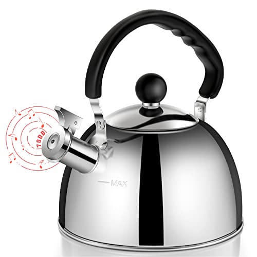 Top 10 Best Teapot For Stove Steel Reviews & Buying Guide Katynel