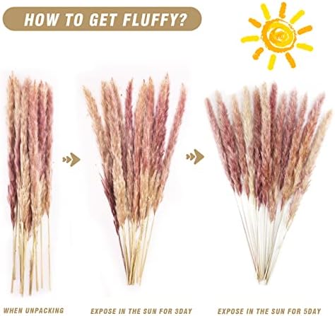 79pcs Natural Dried Pampas Grass Decor Fluffy Dried Flowers Bouquet for Home Decor, Bunny Tail Grass, Pampas Grass Boho Decor, DIY Dried Flowers Decoration for Wedding Boho Home Decor