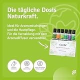 Casida 100% naturreine 6 verschiedene ätherische Öle, 60 ml Rozwiązanie