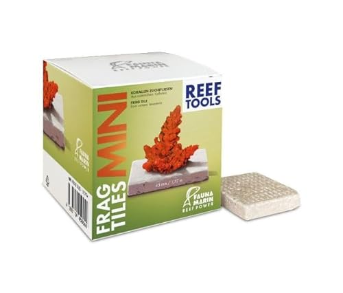 Fauna Marin Frag Tiles MINI, 48x48x10mm, 40 STK., Korallenzuchtfliese aus natürlichem Kalkgestein