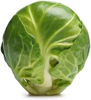 Fresh Brussels Sprouts, 2 Pounds, Premium Quality Whole Vegetables