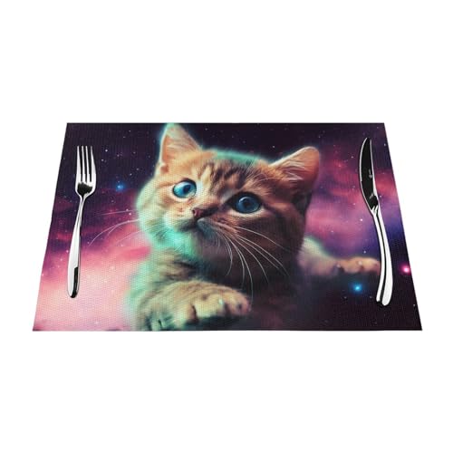 Set de table chat bébé durable lavable en PVC imprimé galaxie x6 - 8