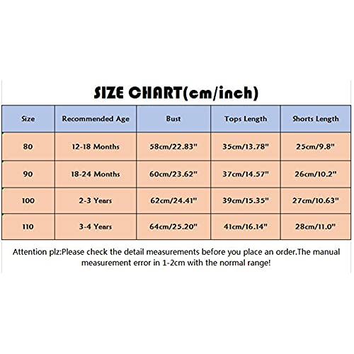 Mercatoo Conjunto infantil infantil de jeans arco-íris com shorts de verão + roupa floral rasgada pa