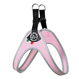 Resistente Al Agua Tre Ponti Arnes Fibbia Clasico Talla 1