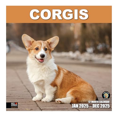 RED EMBER Corgis Wandkalender 2025