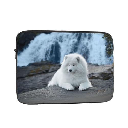 Ή TGh 13 Inch PcP[X Pc[Jo m[gpc P[X rWlX 