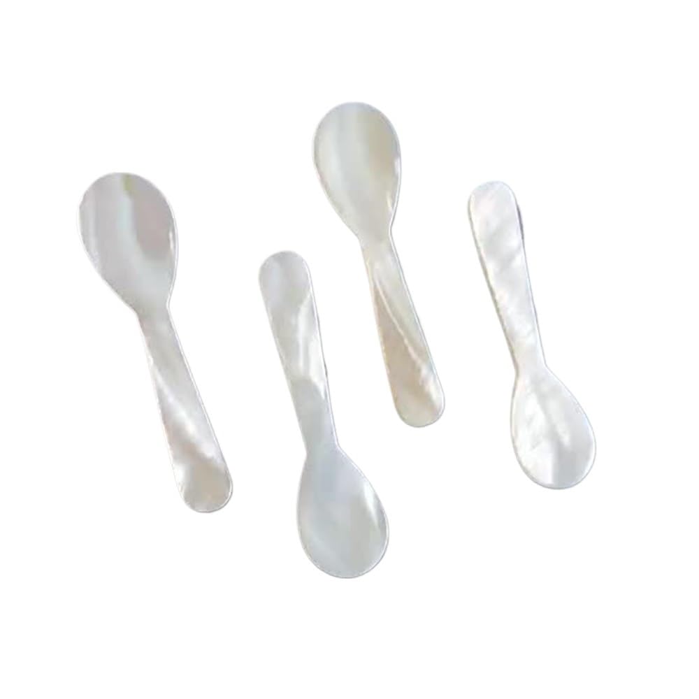 Lot de 8 cuillères à café en coquille de conque naturelle de 7,2 cm - Cuillère à café en nacre - Coquillages