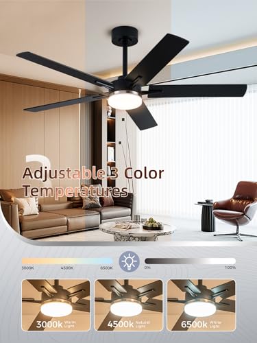 Image of LANMEL Ceiling Fan with Light, Modern Flush Mount Low Profile with Remote Control, Reversible, 3CCT Dimmable, Quiet,LED for Bedroom, Living Room, Indoor /Outdoor Patio Use 52 Inch Silver & Black